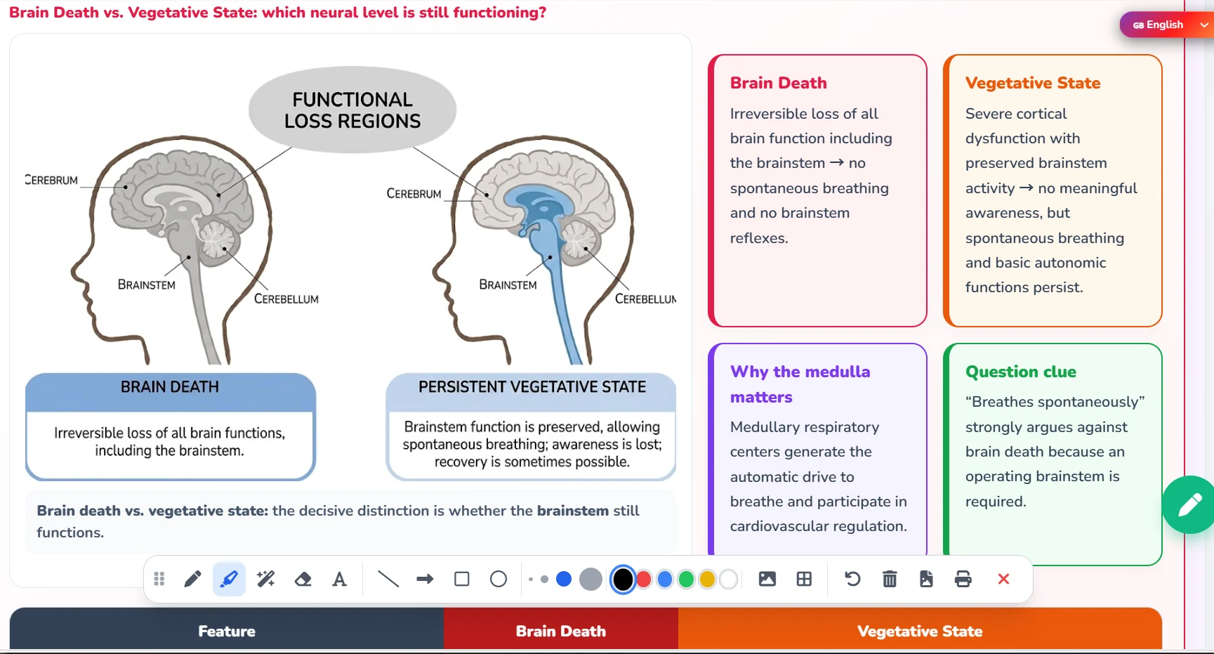 Politaliano Science Hub section-by-section video guides and syllabus